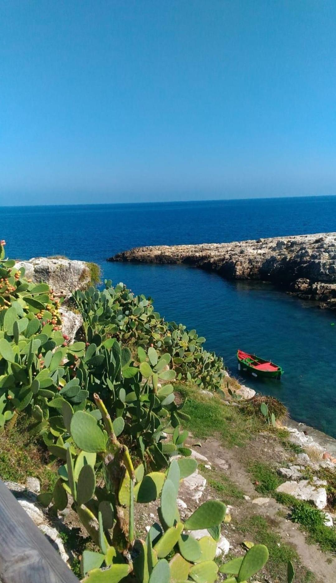 Sea Wind Stanza Con Garage E Ascensore Polignano a Mare Exteriér fotografie